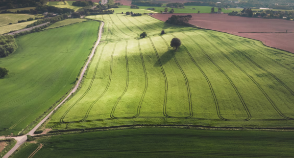 Future Landscape of Agriculture