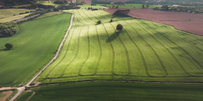 Future Landscape of Agriculture